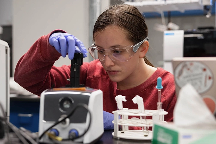 A student in a red shirt wearing safety glasses and blue exam gloves works with samples in a laboratory.