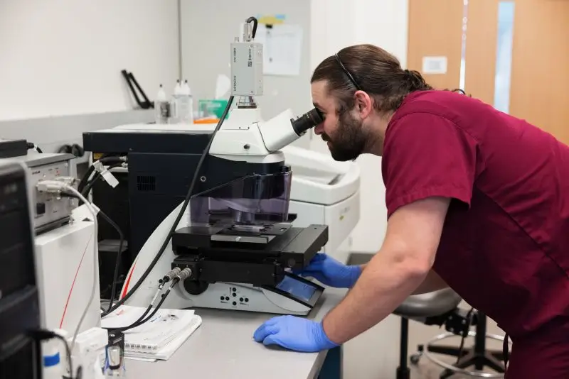 Researcher in a lab uses a high-powered microscope to analyze samples
